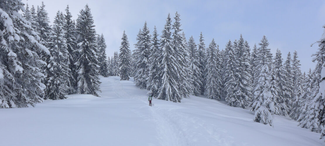 In der Ruhe liegt die Kraft